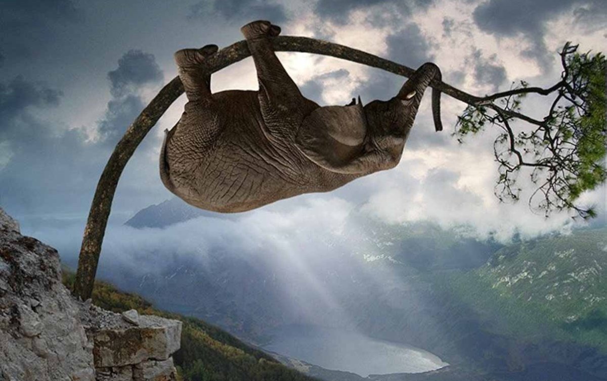 Открытки со смыслом