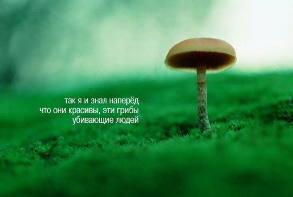 Открытки с философским смыслом