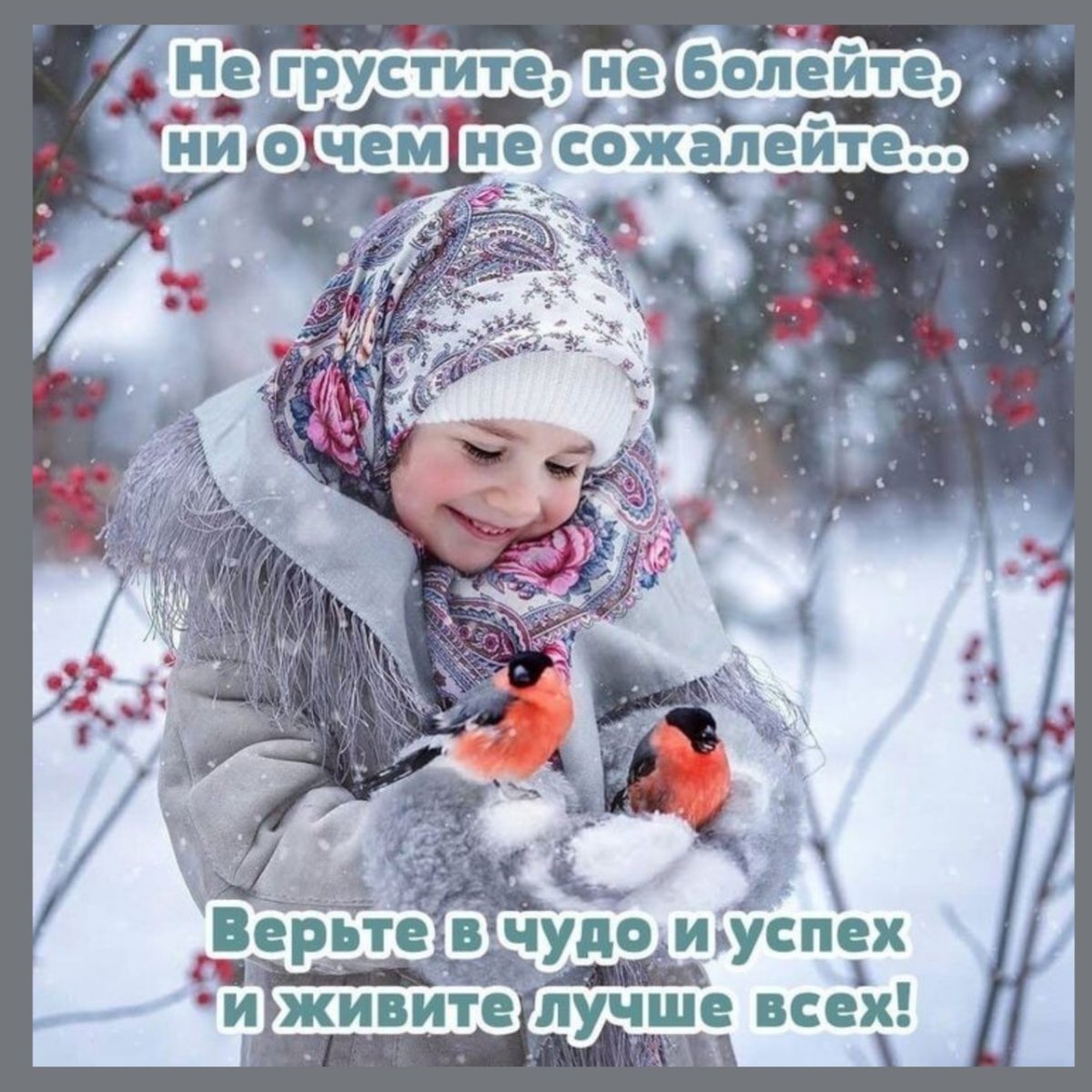 Прекрасные мгновения зимы