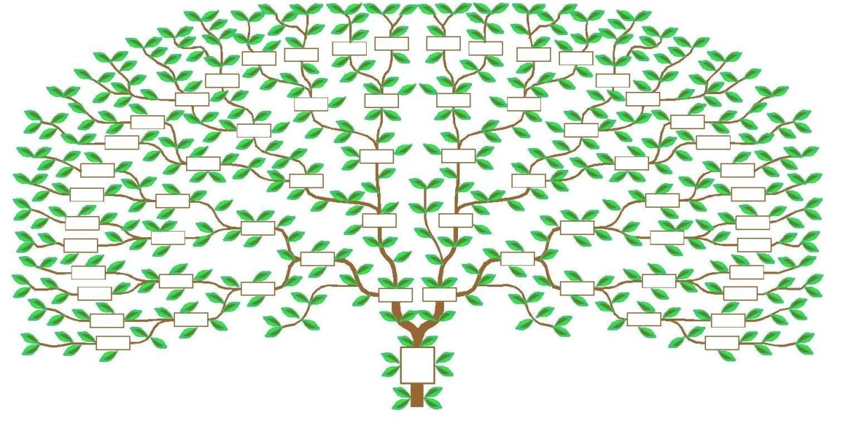 Генеологичне дерево схема