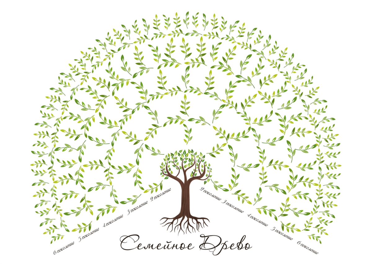 Дерево семи поколений