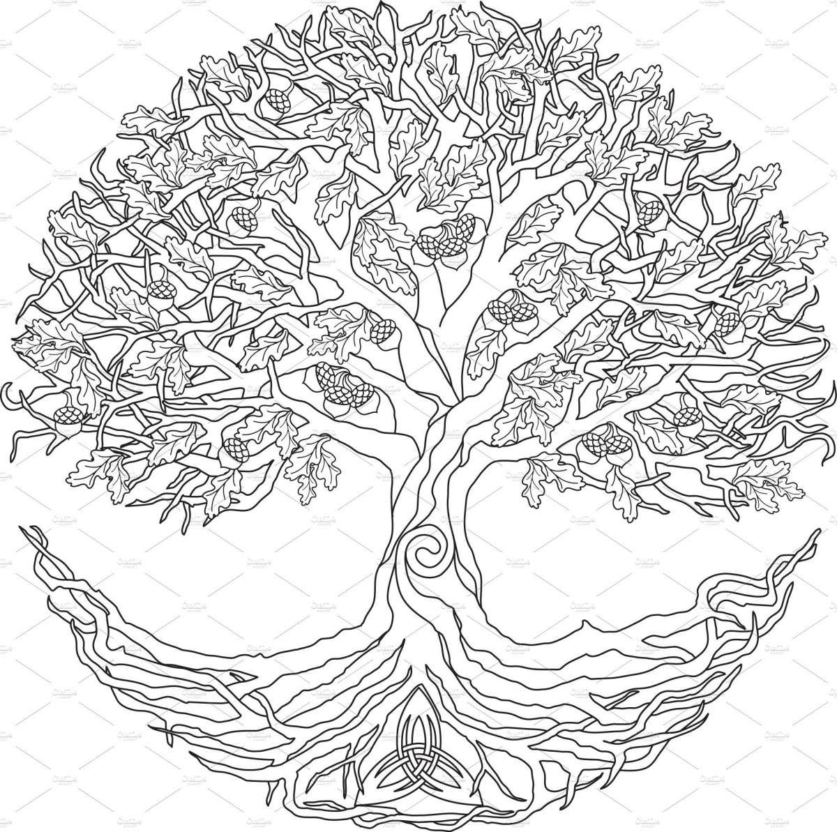 Генеалогическое дерево раскраска