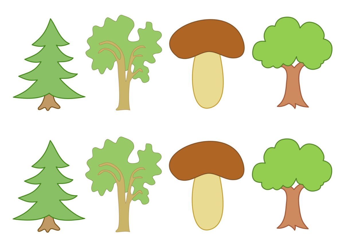 Лесные деревья для детей