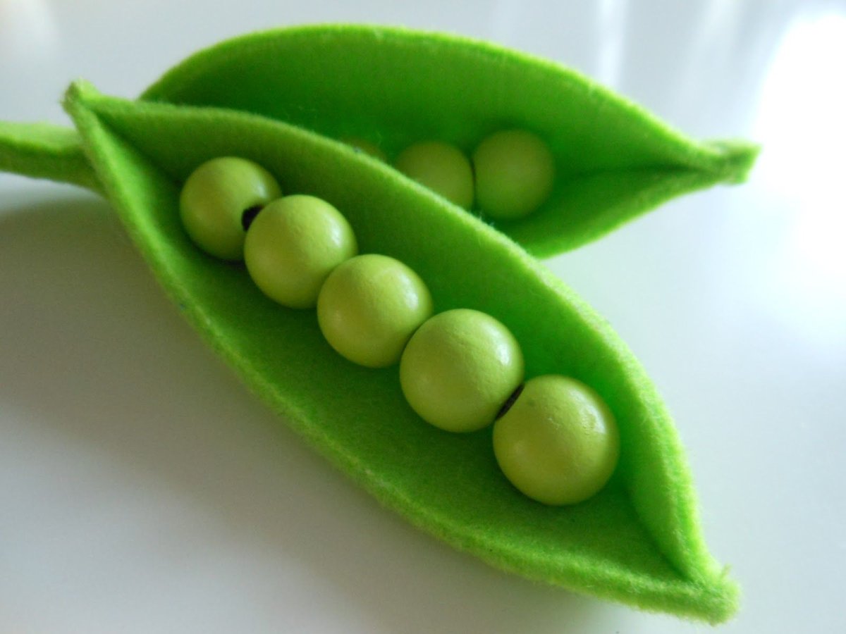 Стручок горошины для лепки