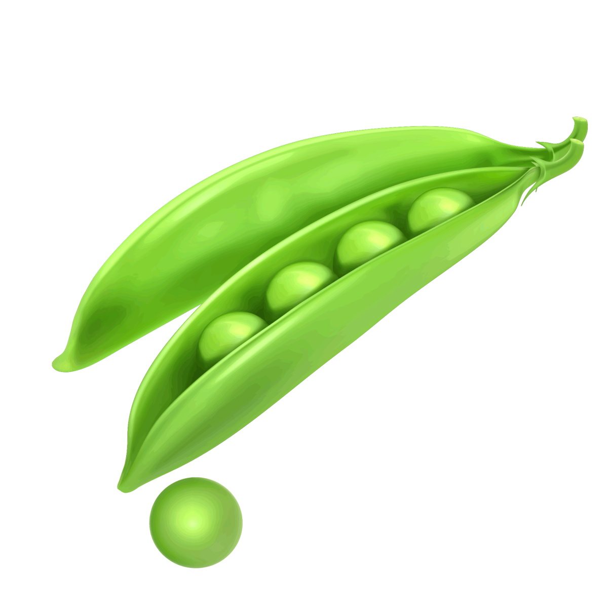 Зеленый горошек стручок