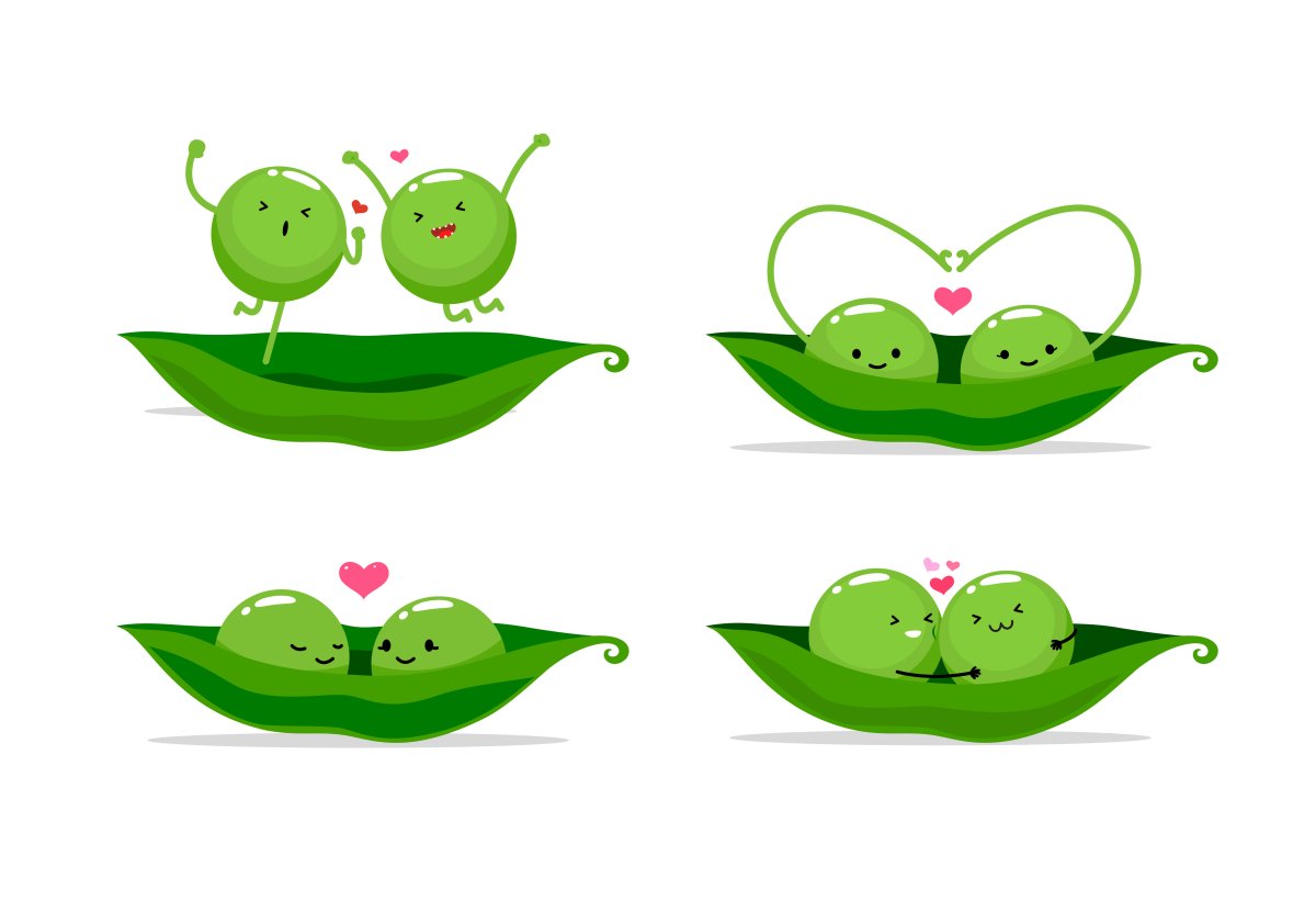 Горошинка в стручке рисунок