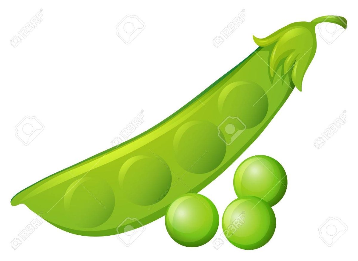 Стручок гороха мультяшный
