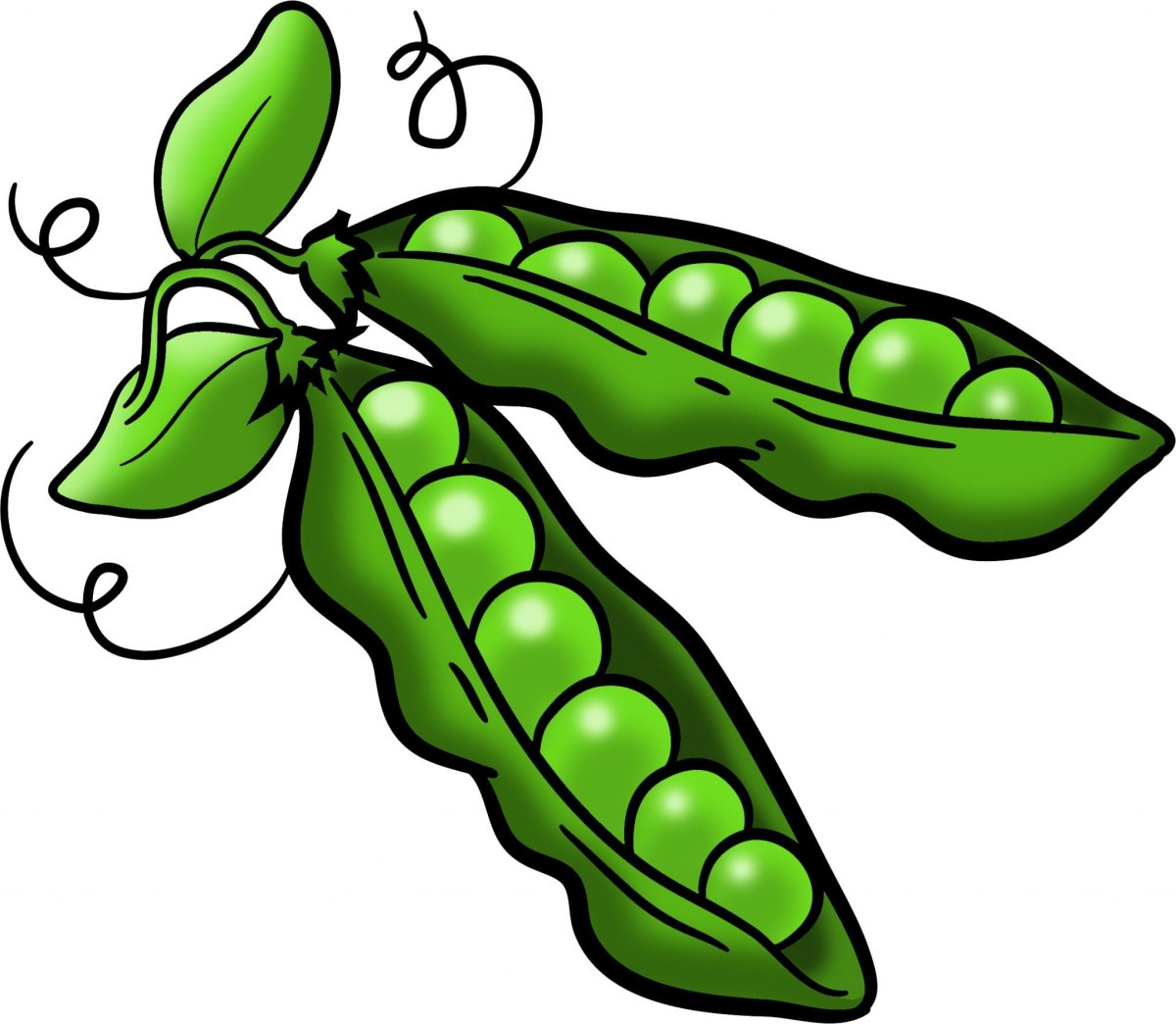 Горошек для детей