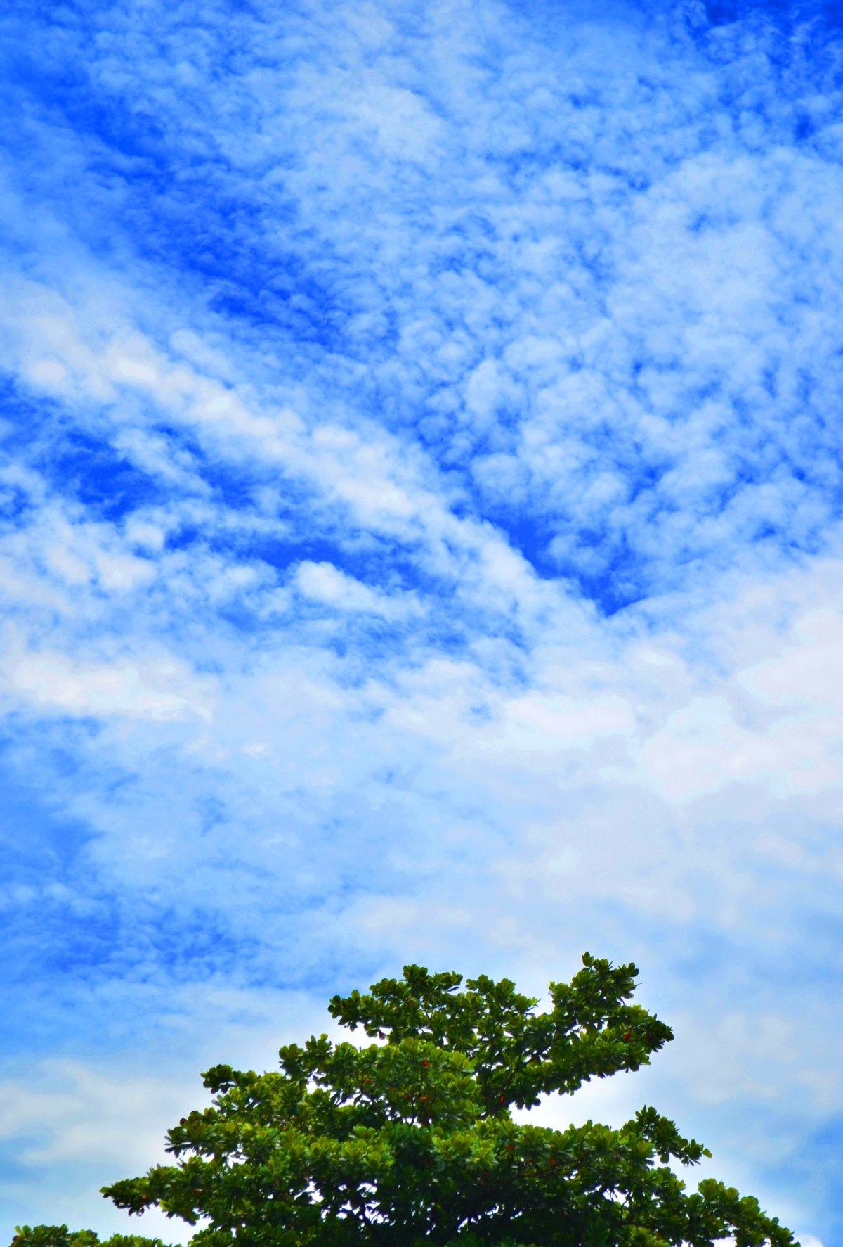 Красивое небо