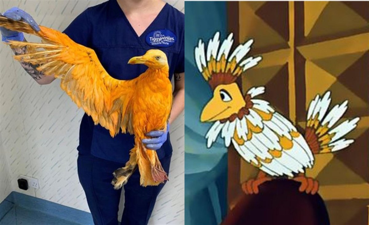 Птичка Говорун