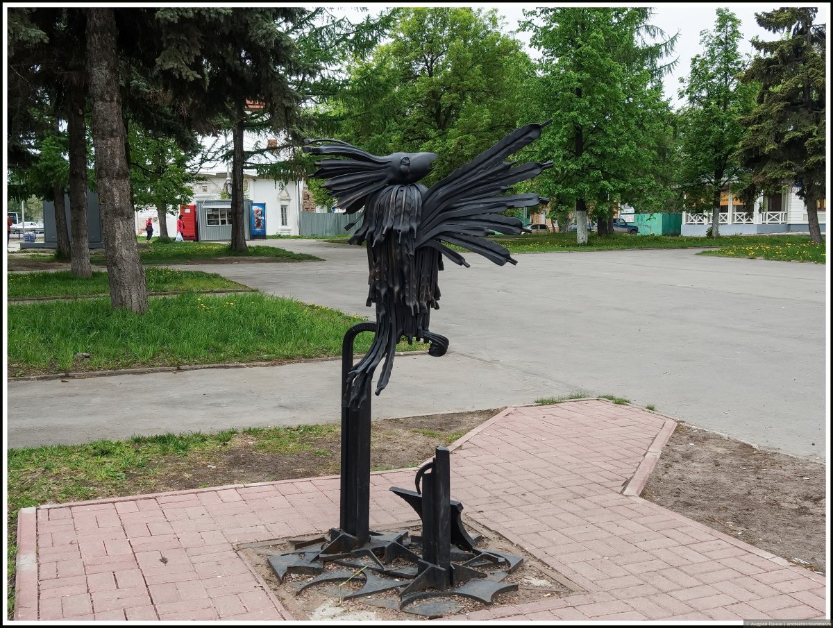 Попугаевые Говорун