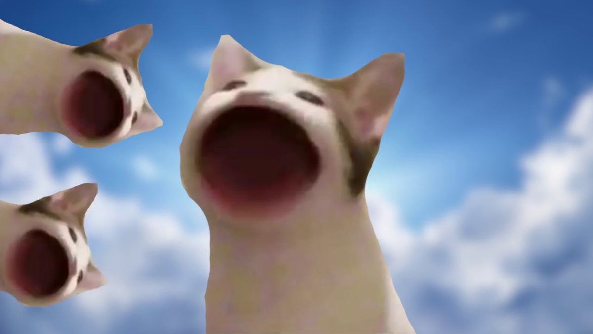 Кричащий котик с сердечками