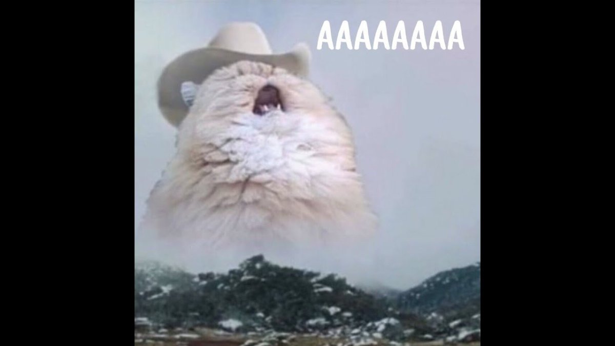 ПСИХОВАННЫЙ кот