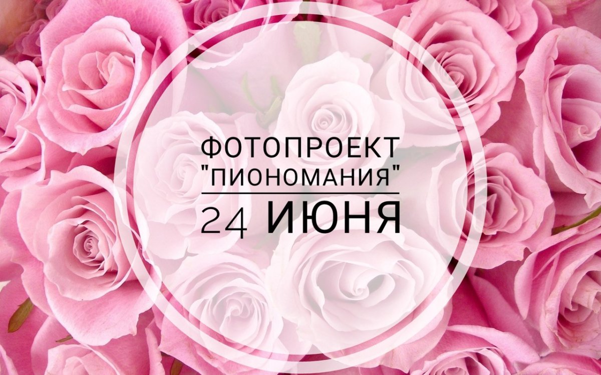 Совместные покупки