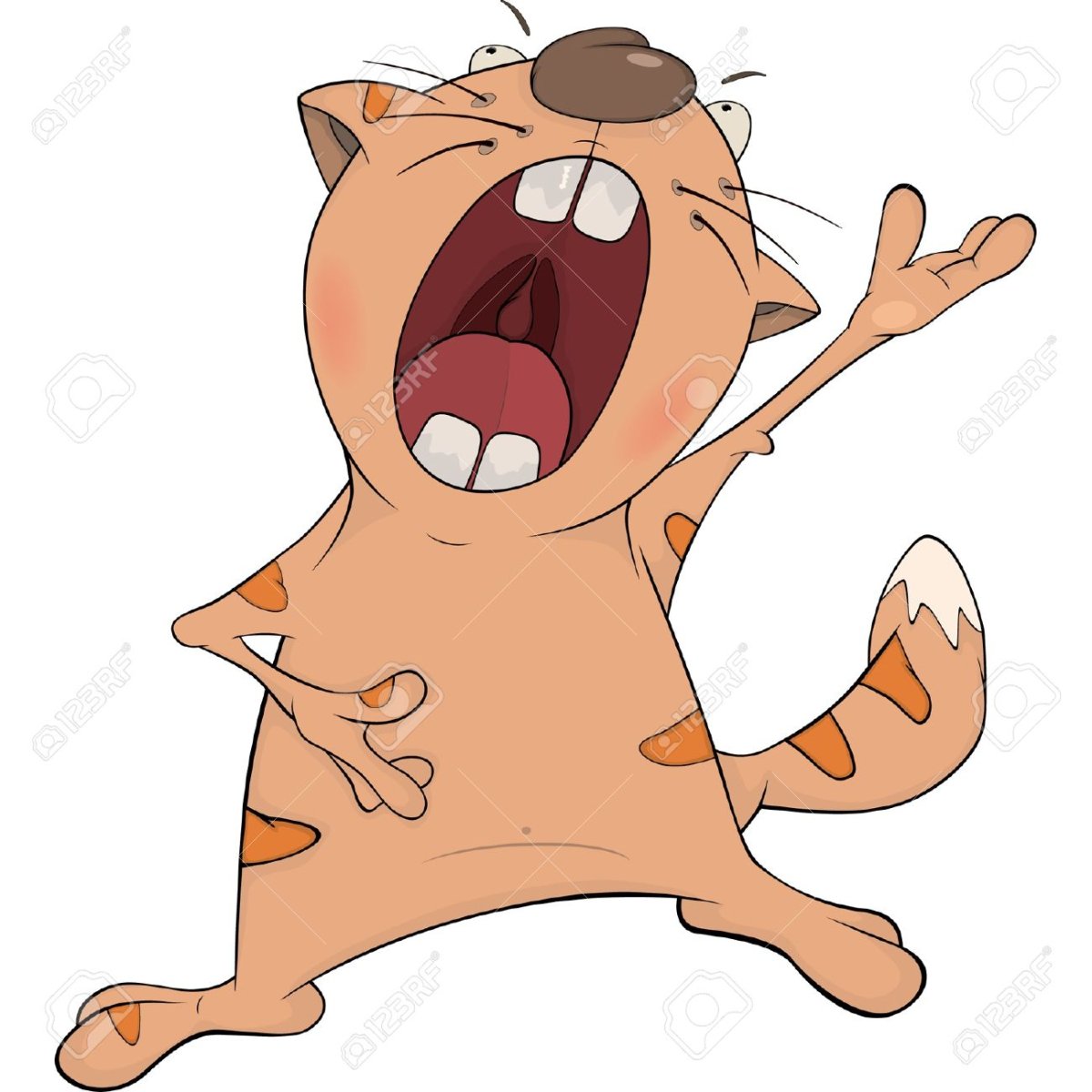 Котик зевает