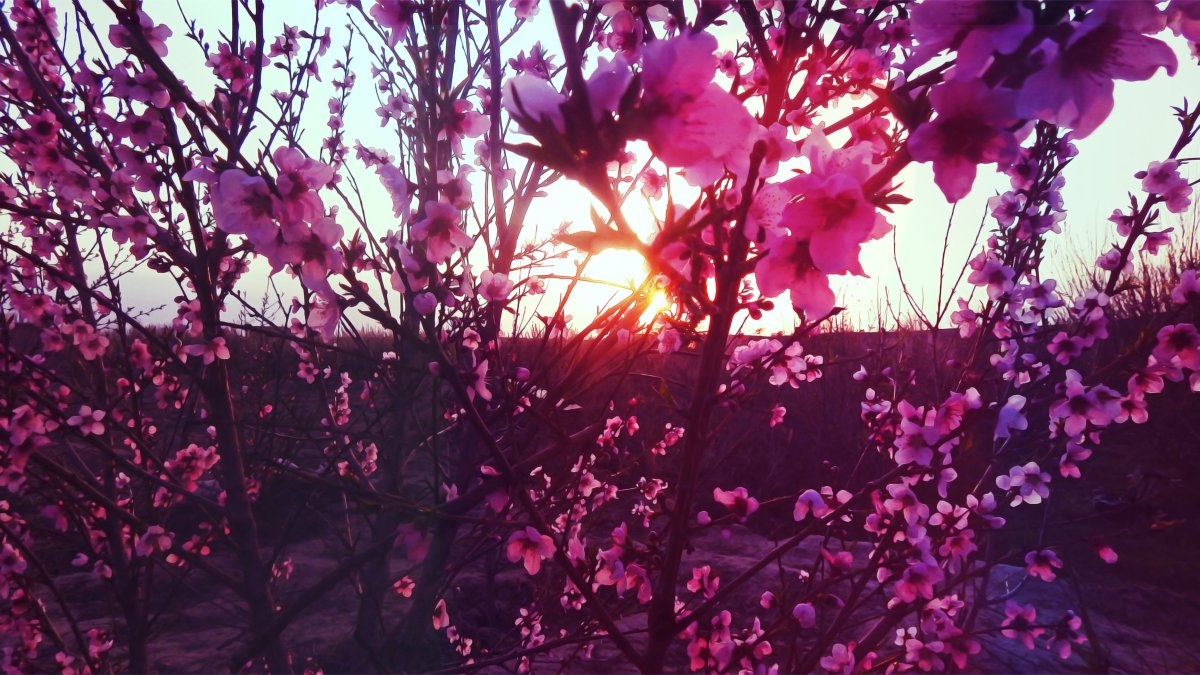 Вдохновляющие предметы