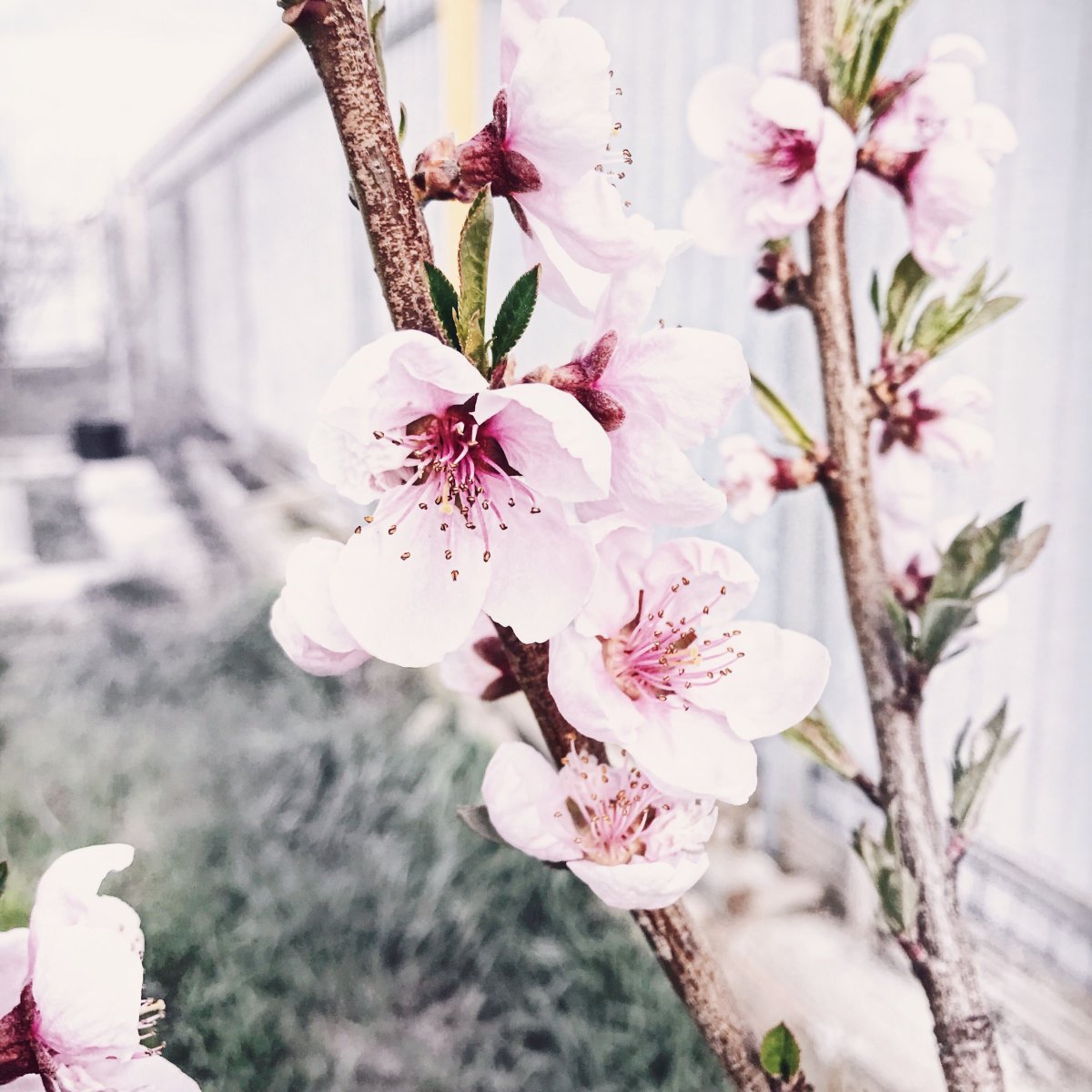 Красивый фон для сториз