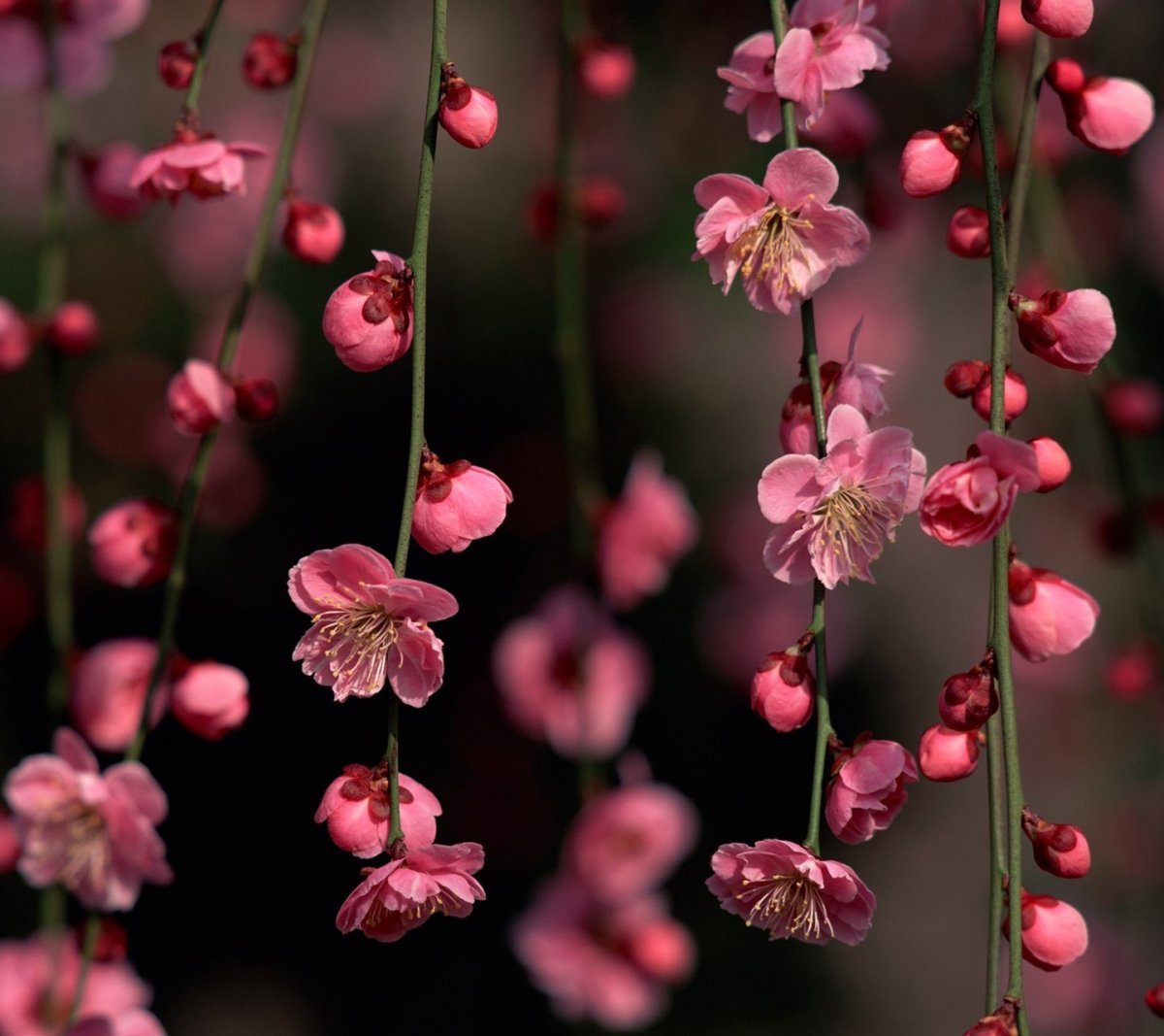 Фон для сториз