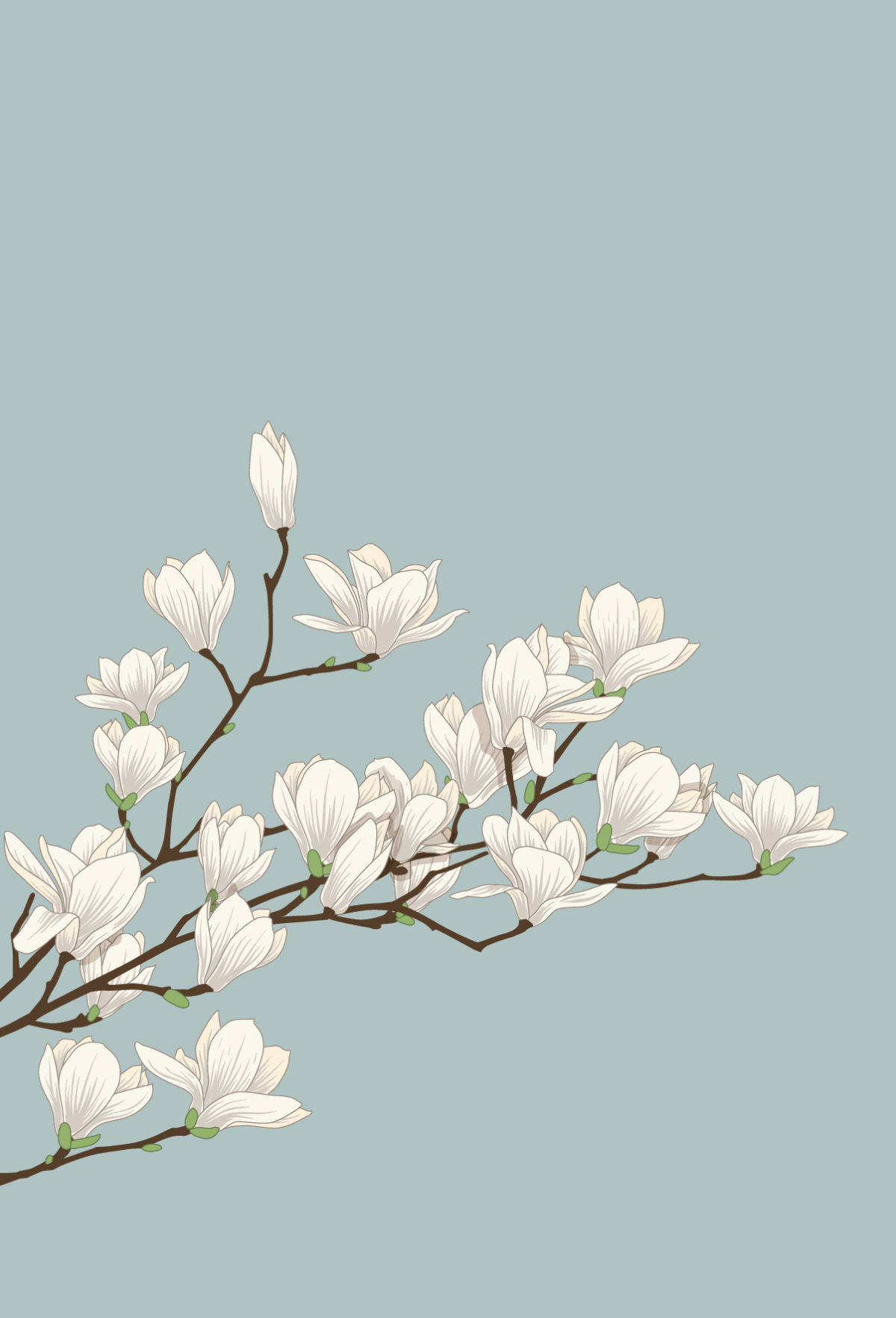 Нежный цветок