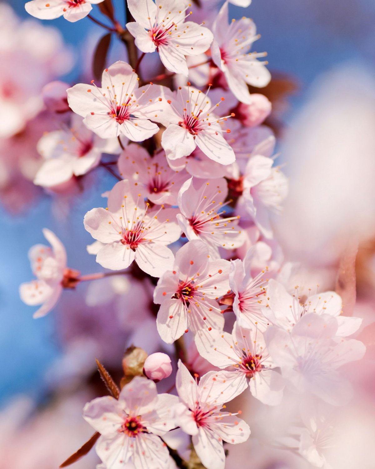 Доброе утро стильные