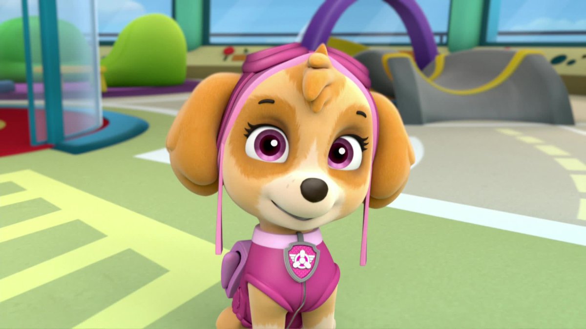 Щенки патруль Скай