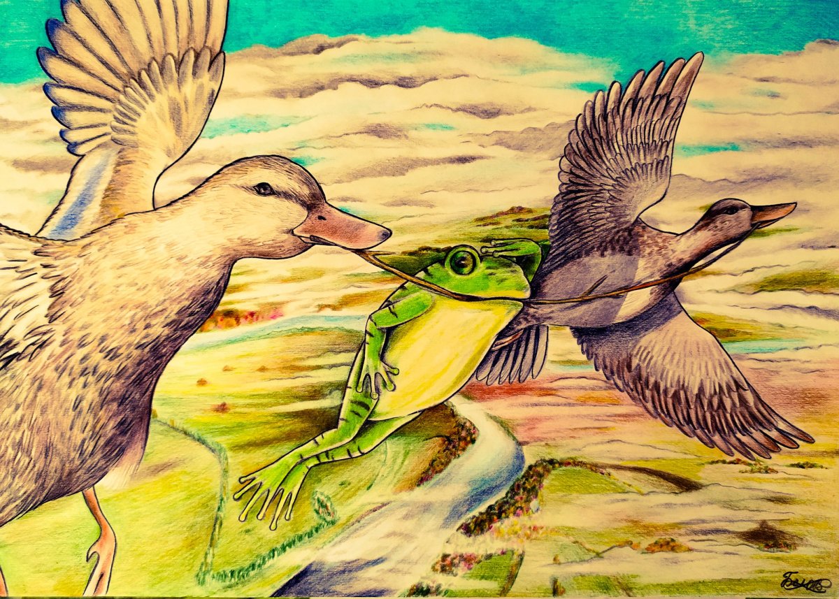 Рисунок из сказки лягушка путешественница