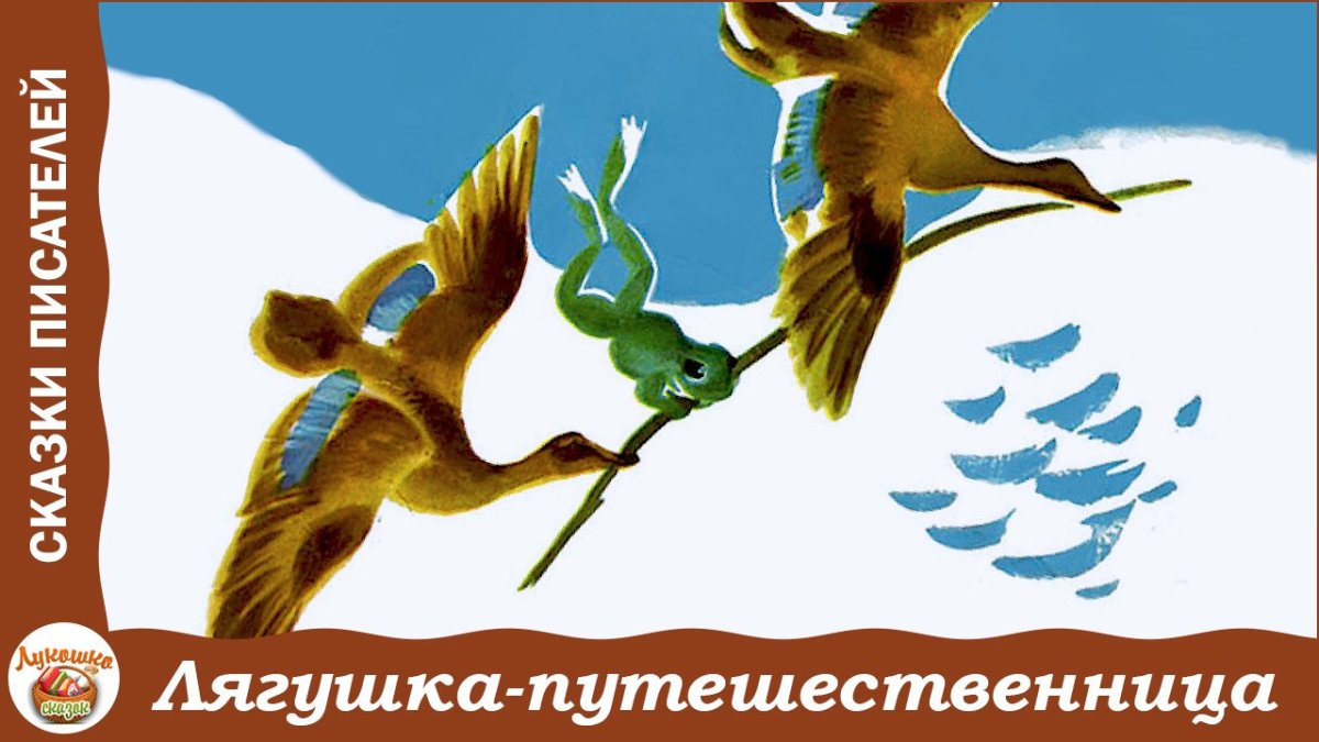 Смешная лягушка путешественница