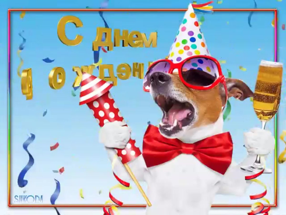 С днем рождения