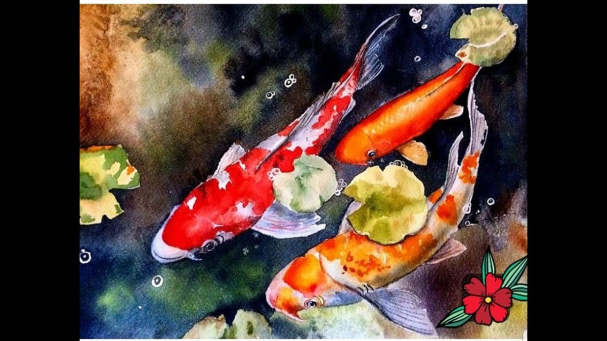 Карп кои risunki