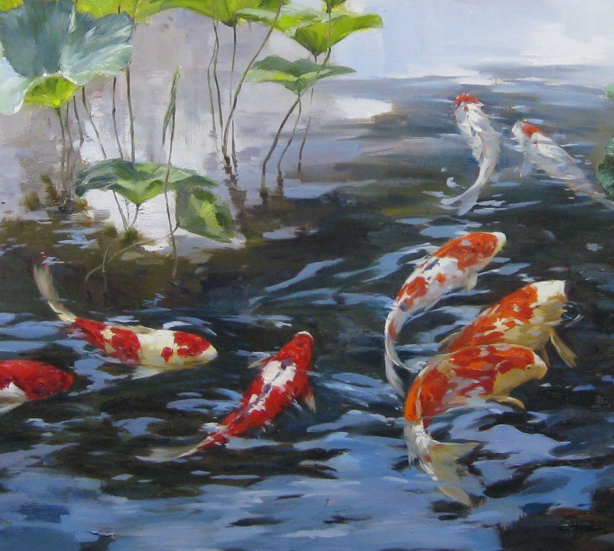 Карп кои Япония