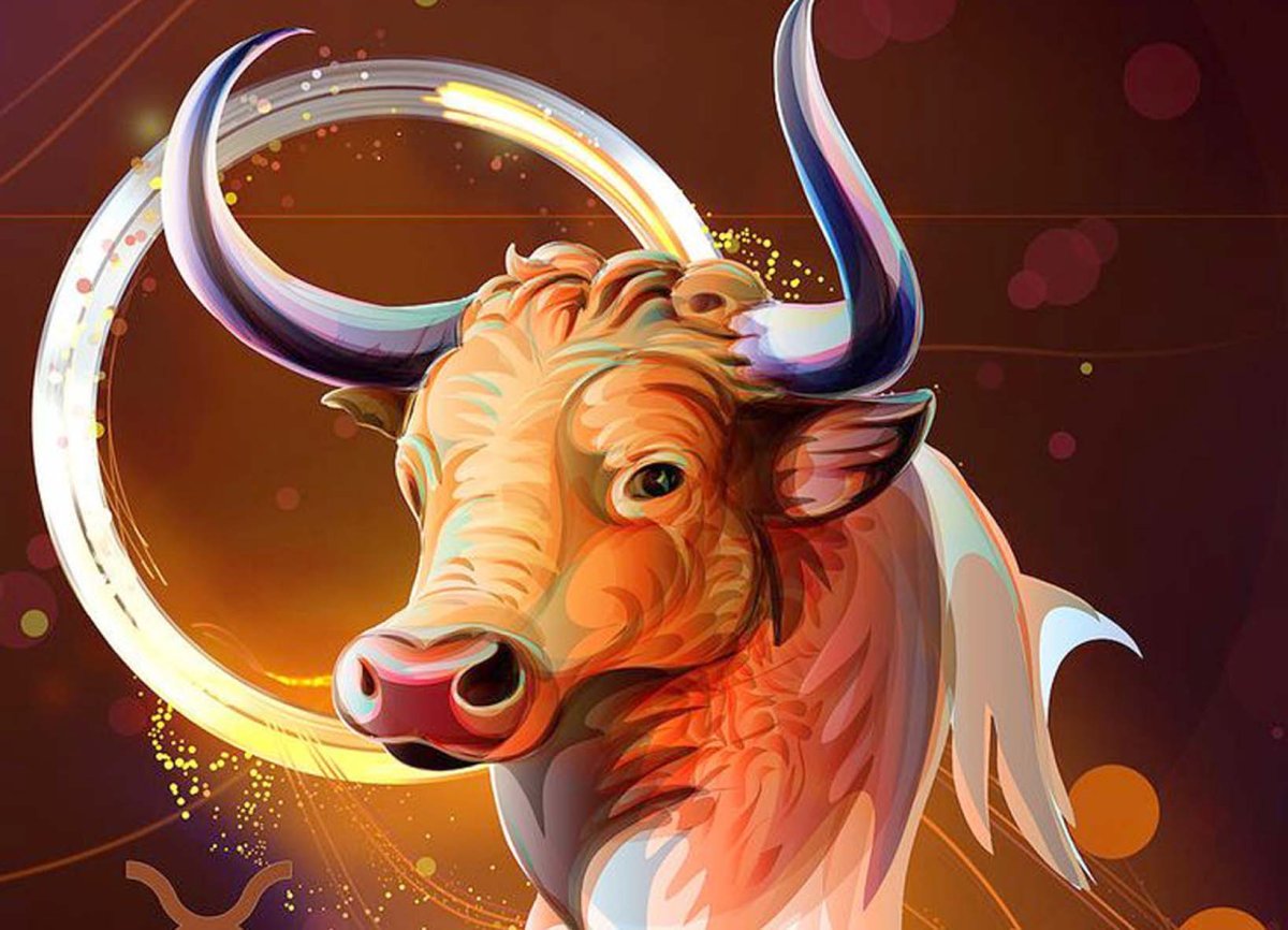 Бык Телец Taurus
