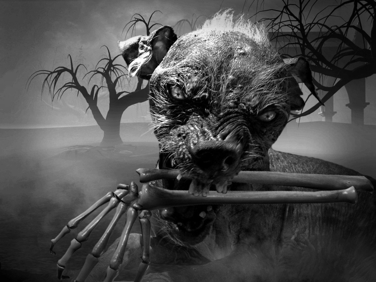 Самые жуткие фотосессии