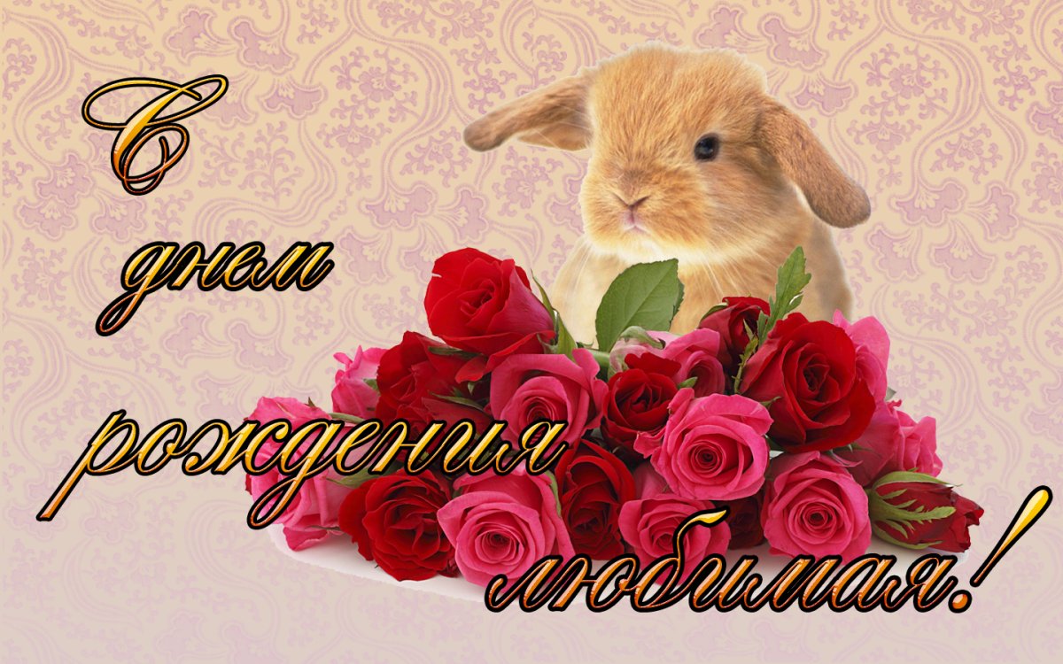 С днем рождения