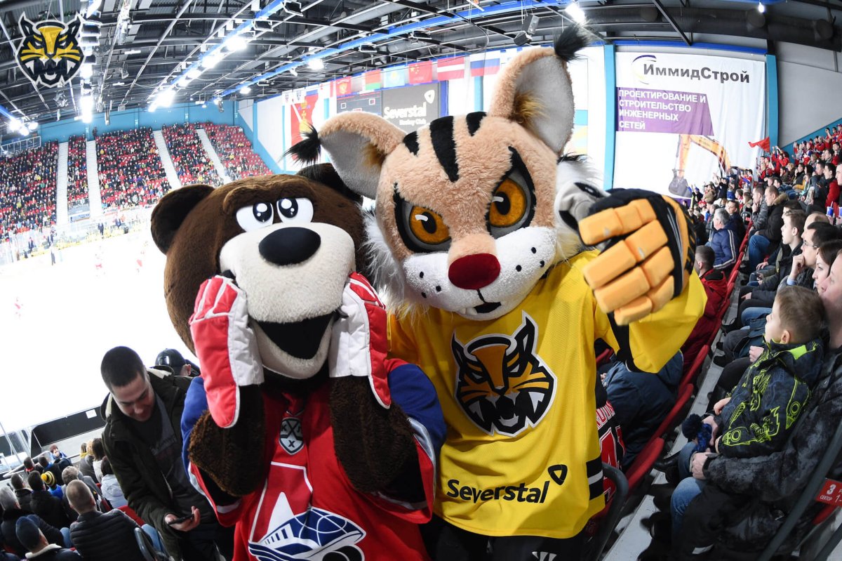 Цех покрытий металла Северсталь