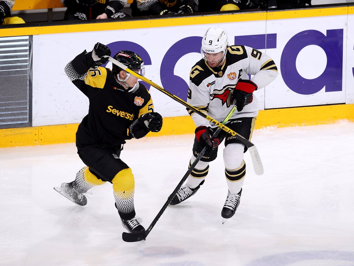 Символ Северсталь хоккей