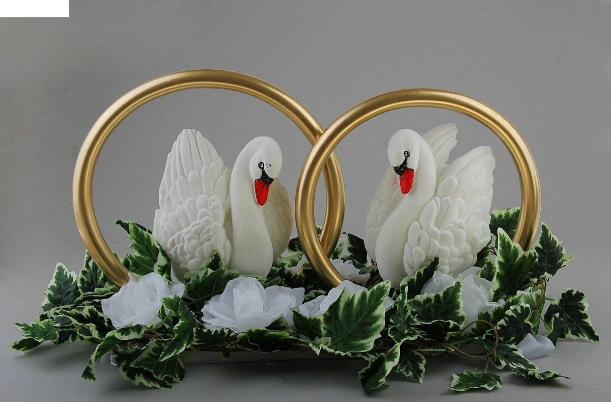 Свадебные голуби