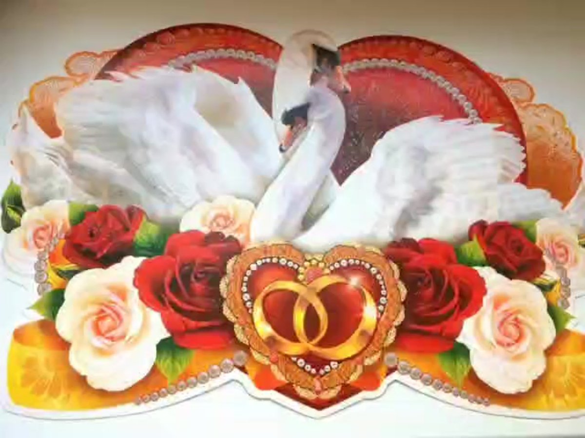 Алмазная мозаика «лебеди»