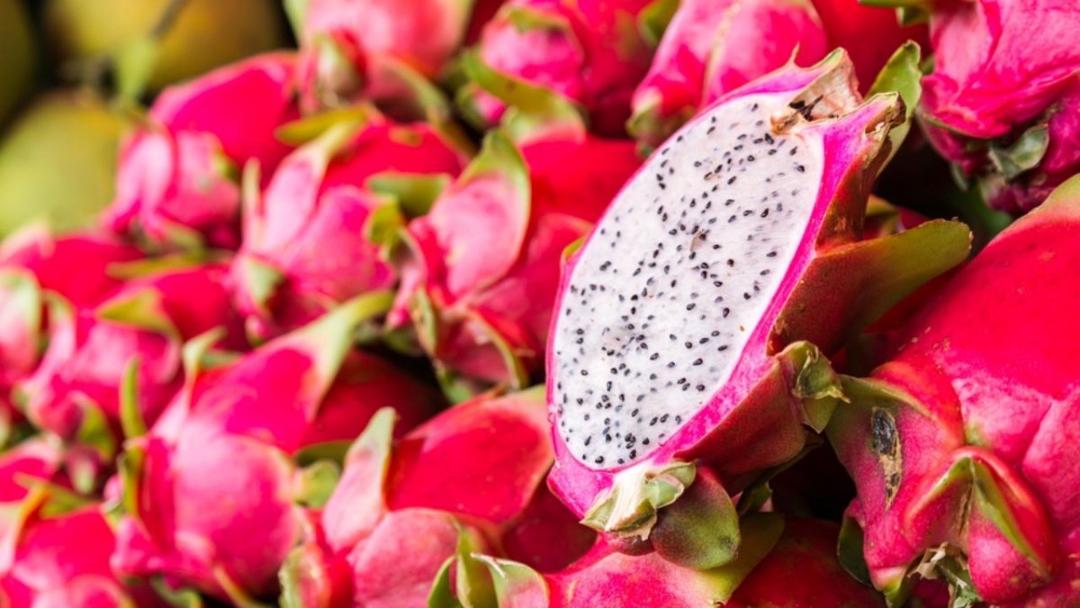 Питахайя Драконий фрукт вектор