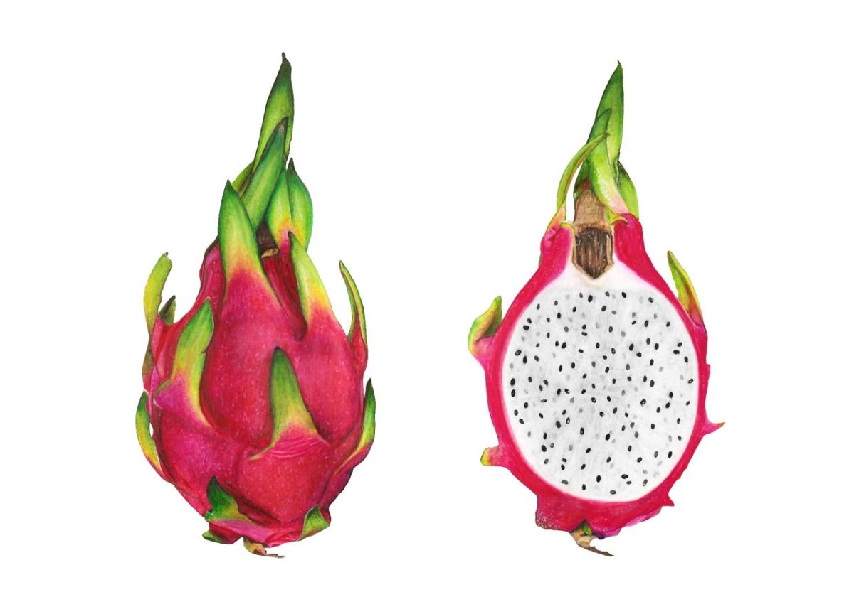 Фрукты Тайланда питахайя