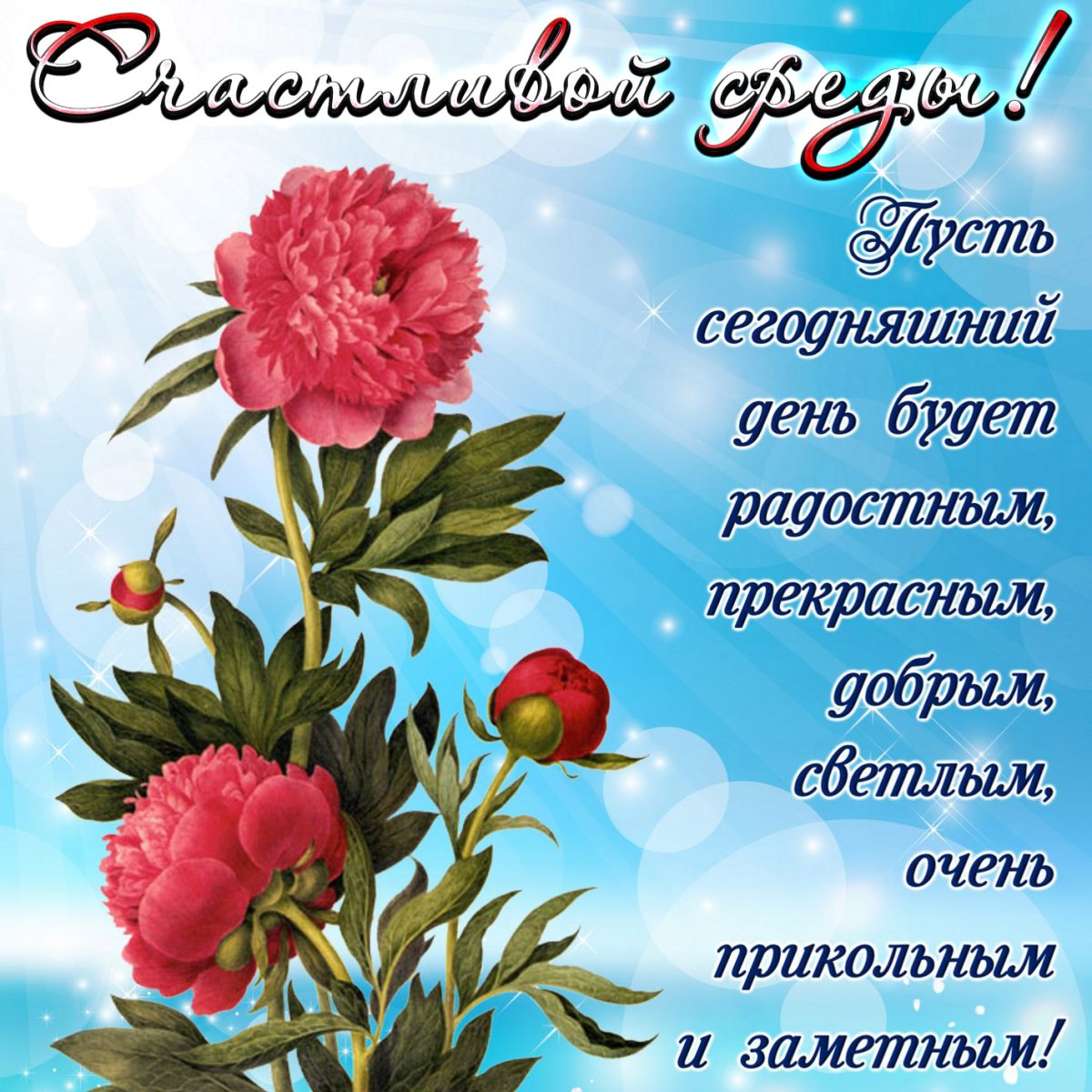 Открытки с поздравлениями и пожеланиями