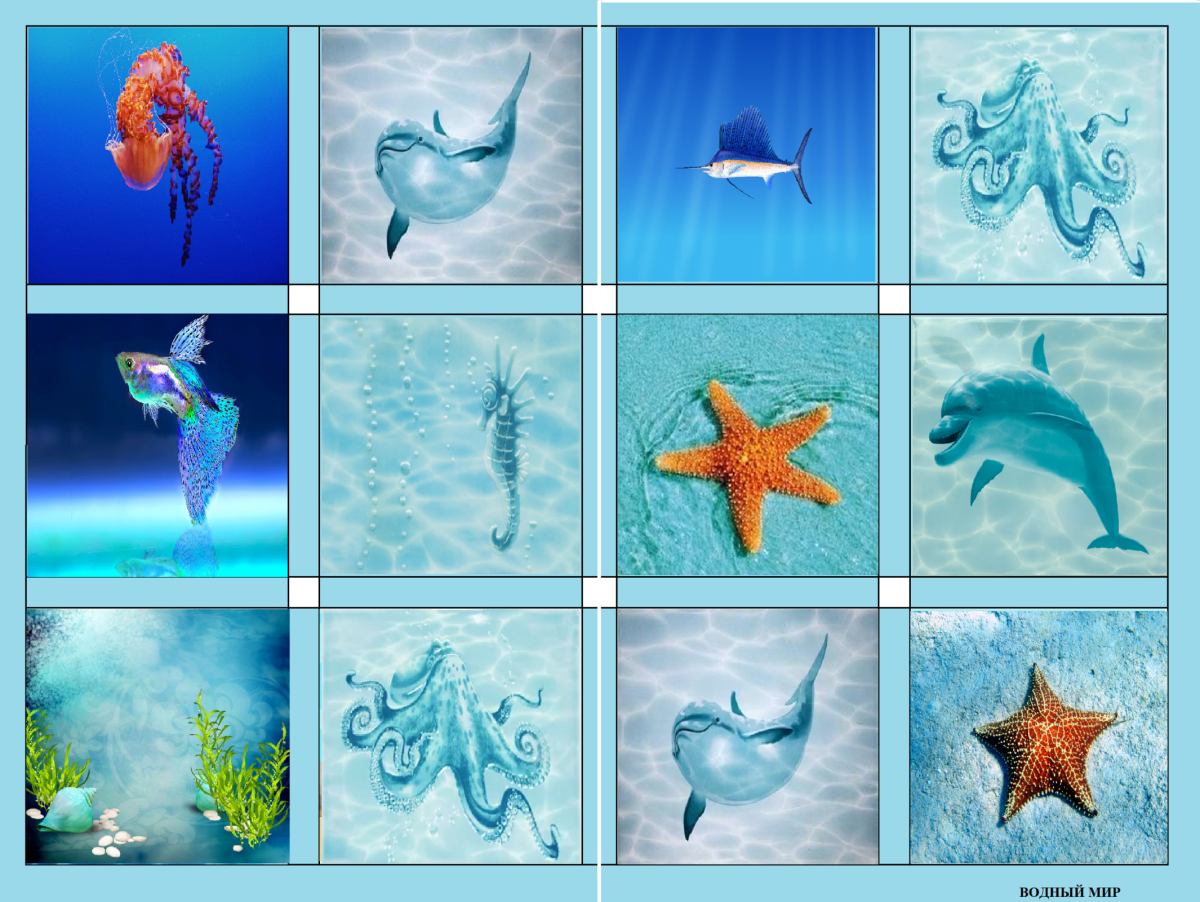 Изучаем Водный мир