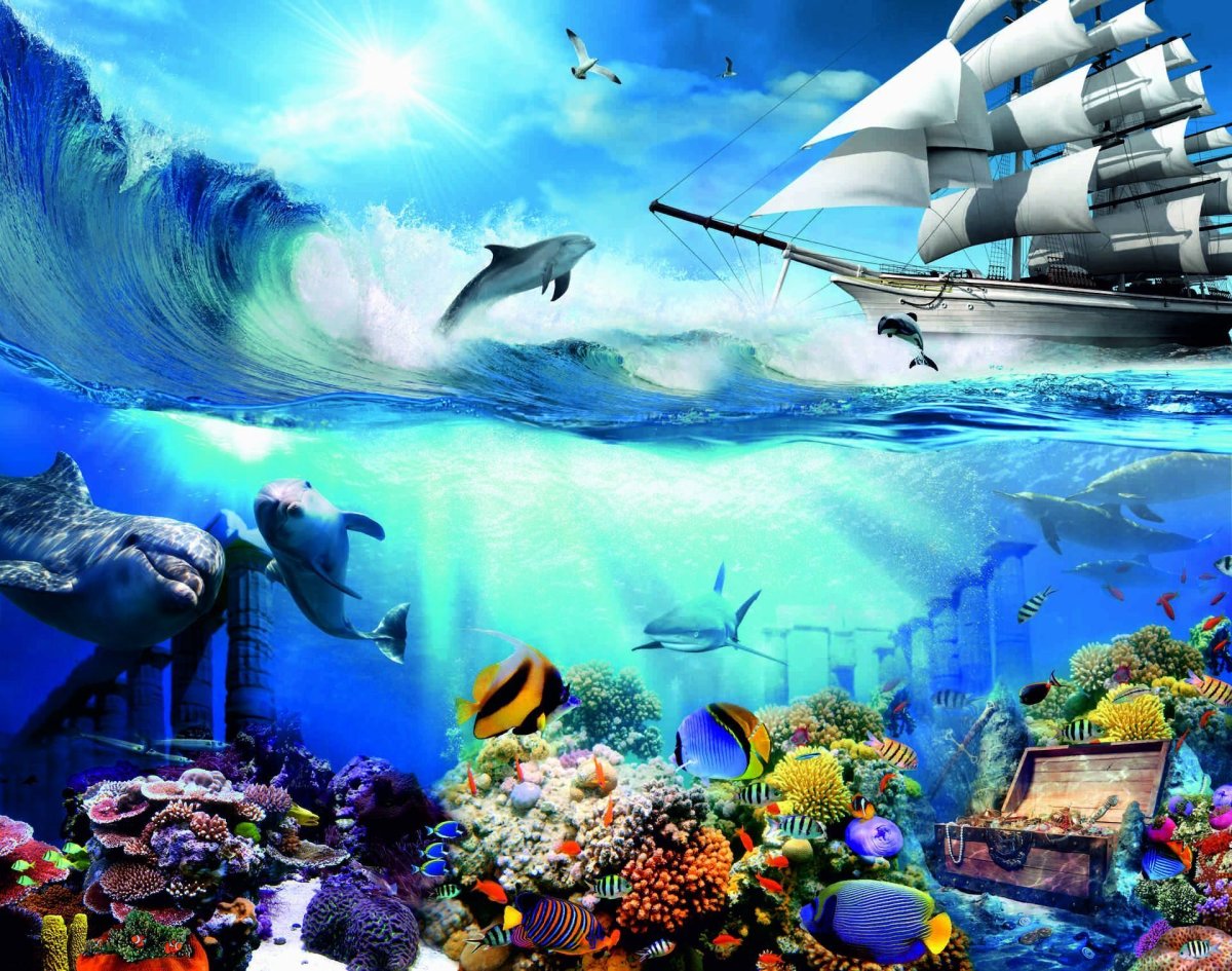 Подводный пейзаж