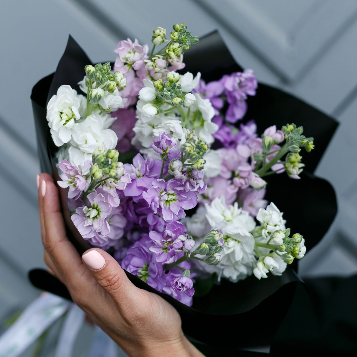 Левкой Пацифик Блу