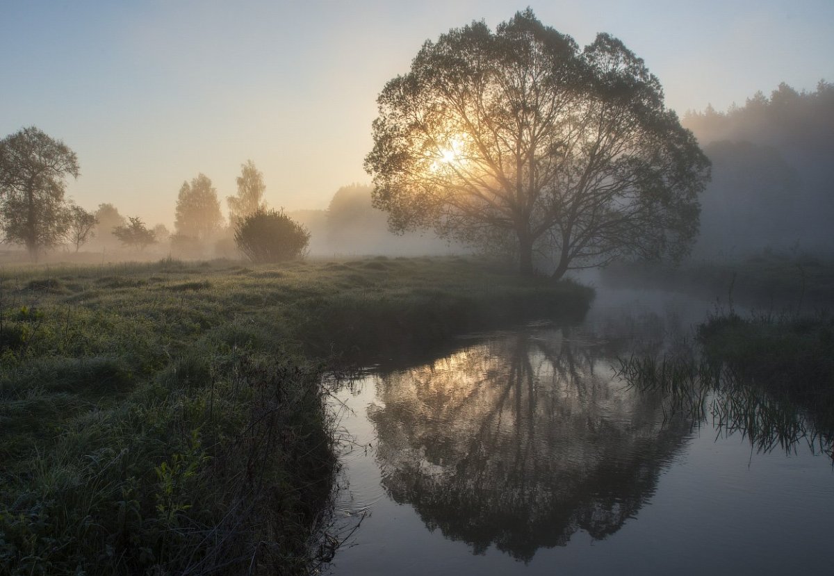 Пасмурное утро природа
