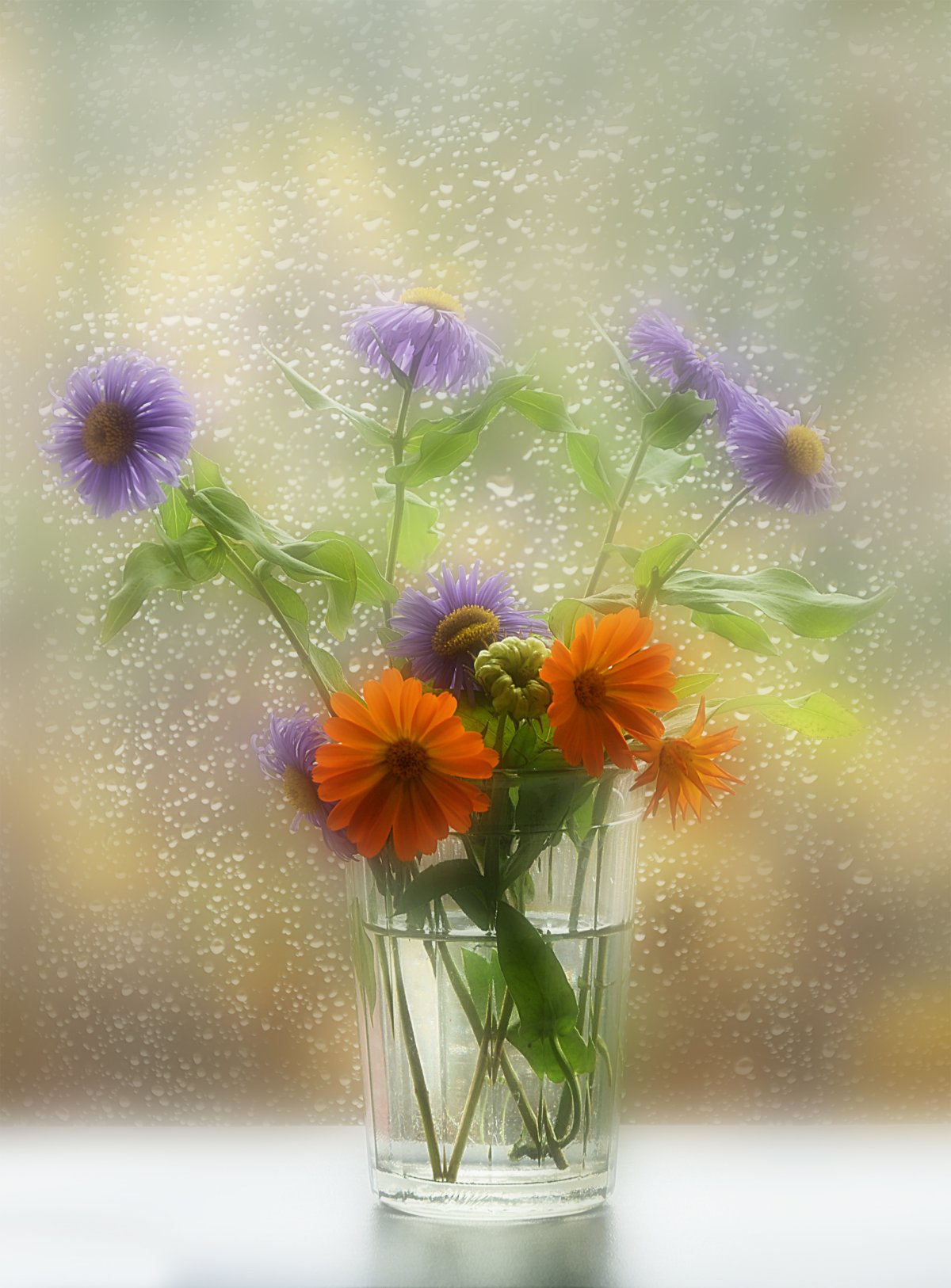 Дождливое утро