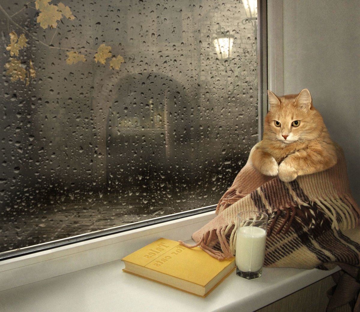 Москитные сетки антикошка