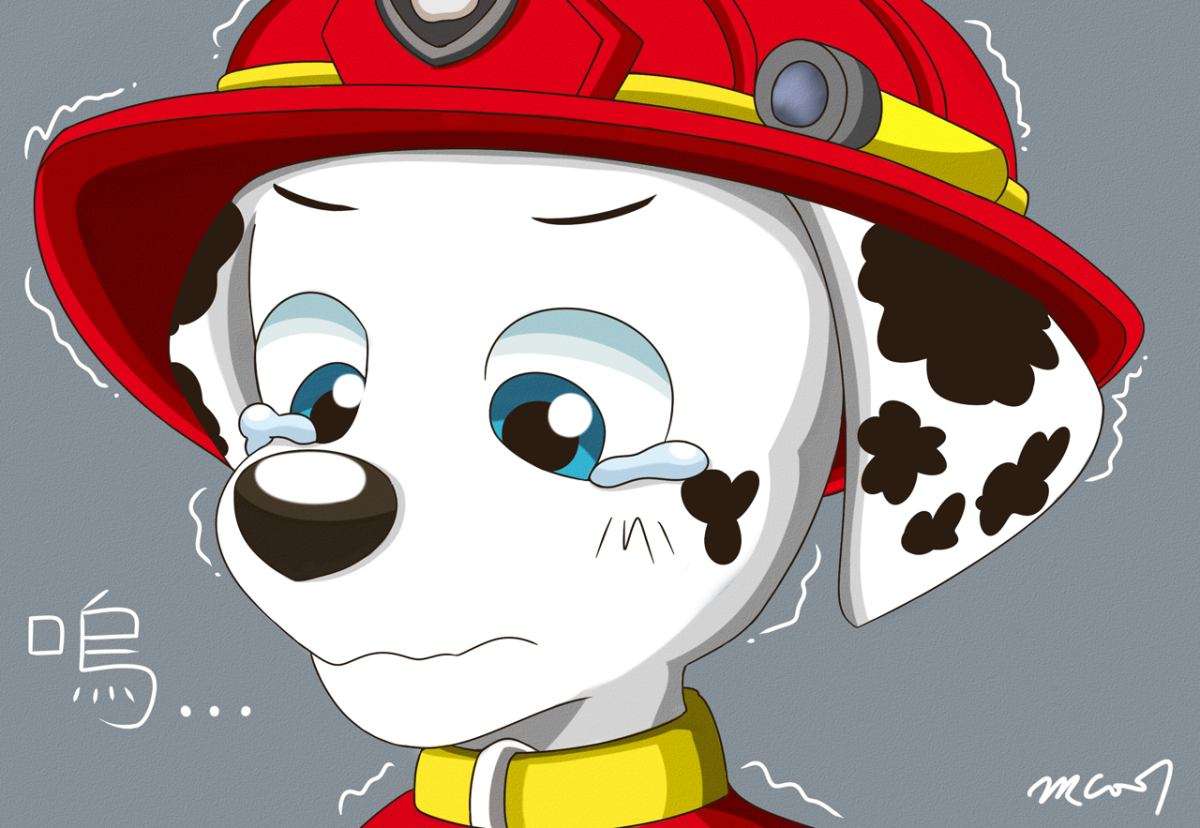 Щенячий патруль. Маршал