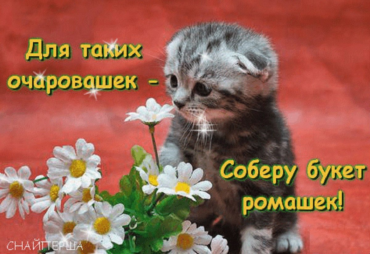 Вы классные девчонки