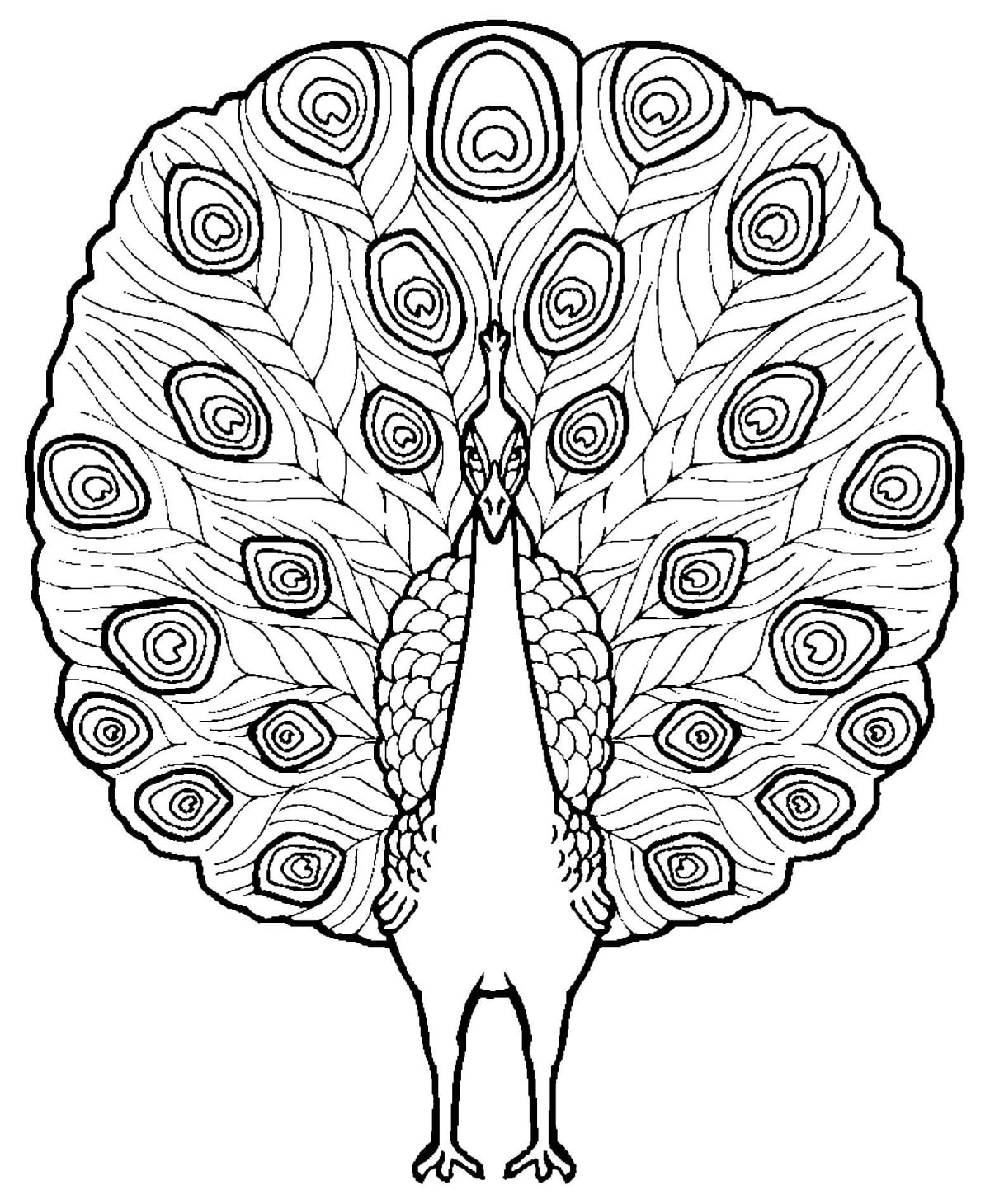 Мандала Павлин