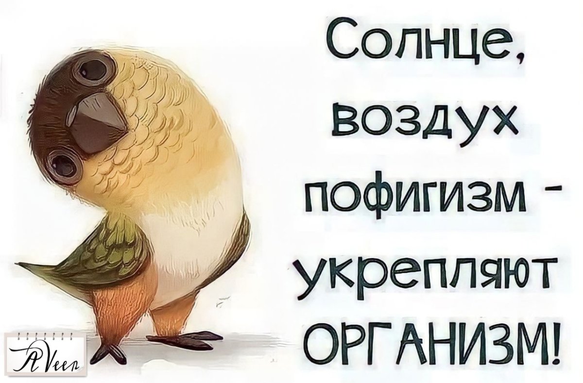 Солнце воздух пофигизм укрепляет организм